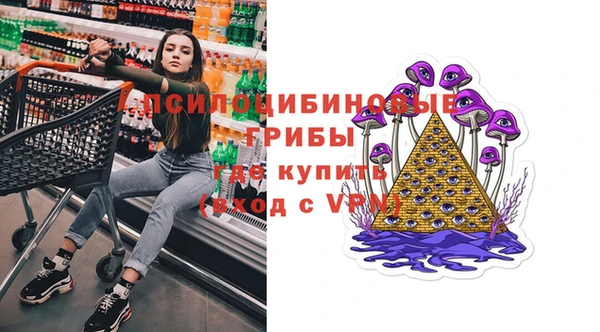 ПСИЛОЦИБИНОВЫЕ ГРИБЫ Бугульма